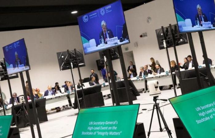 COP29: “Es hora de acelerar, no retroceder” hacia la neutralidad de carbono | APAnoticias