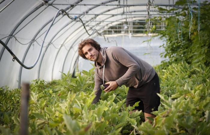 “Por supuesto, la finca debe ser viable, pero a mi propio ritmo”, retrato de un agricultor de nueva generación