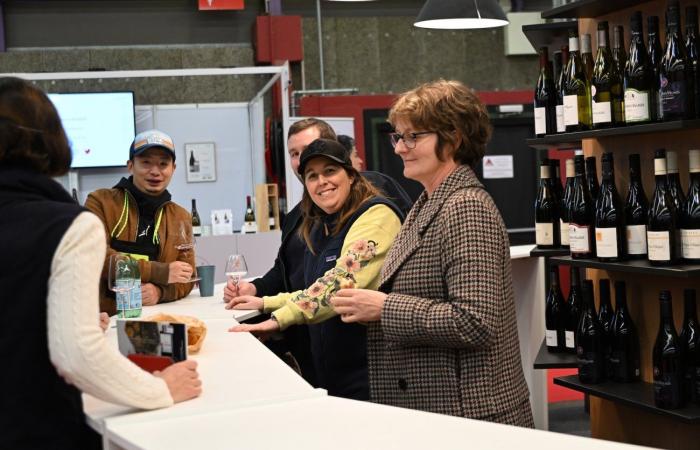 Vinos de Borgoña: Bienvenidos al reino de las degustaciones placenteras en Beaune