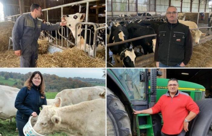 TESTIMONIOS – “Ha pasado el tiempo, nada ha cambiado”: ​​un año después de la movilización, la frustración de los agricultores persiste