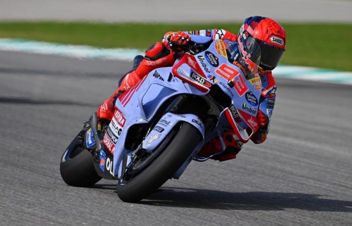 MotoGP, Andrea Dovizioso: “Que Marc Márquez desafíe a Pecco Bagnaia, sin duda. Pero creo que Pecco también pondrá a Marc en crisis”