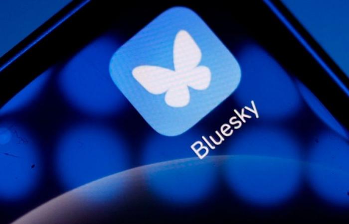 Alternativa a X | La red social Bluesky gana un millón de usuarios en un día