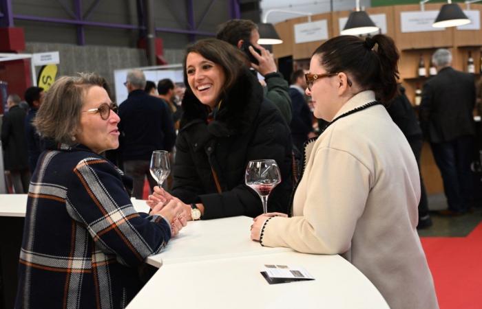 Vinos de Borgoña: Bienvenidos al reino de las degustaciones placenteras en Beaune