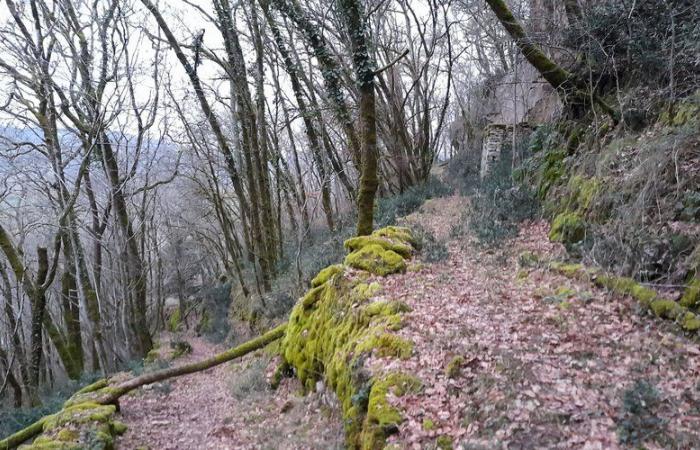 Vayrac. Teletón: la caminata del Puy d’Issolud