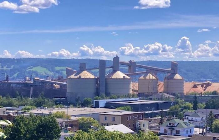 La artista Vicky Côté critica a Rio Tinto por negarse a embellecer sus silos en La Baie