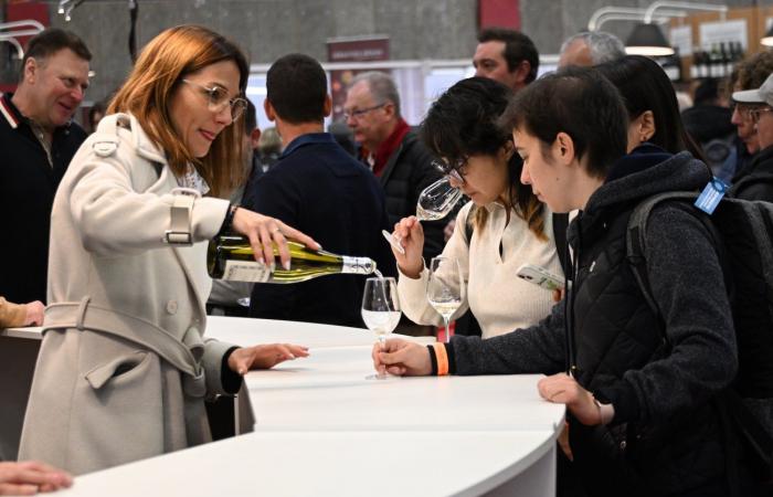 Vinos de Borgoña: Bienvenidos al reino de las degustaciones placenteras en Beaune