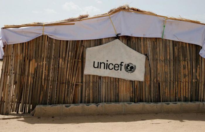 Secuestrada hace seis años por yihadistas, una enfermera de Unicef ​​logra escapar a Nigeria