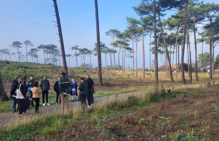 cómo prepararse para el regreso del público al bosque de La Teste