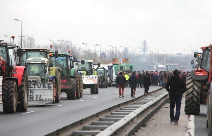 Los agricultores se manifiestan de forma dispersa en Tarn, pero las acciones prometen ser espectaculares