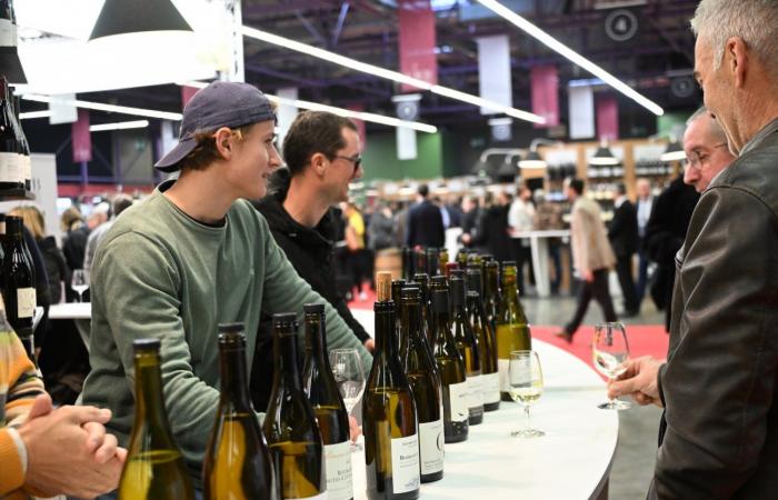 Vinos de Borgoña: Bienvenidos al reino de las degustaciones placenteras en Beaune