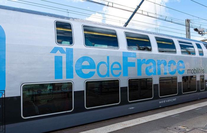 Nanterre: un joven de 19 años es atropellado por un RER, un agente de la RATP está bajo custodia policial