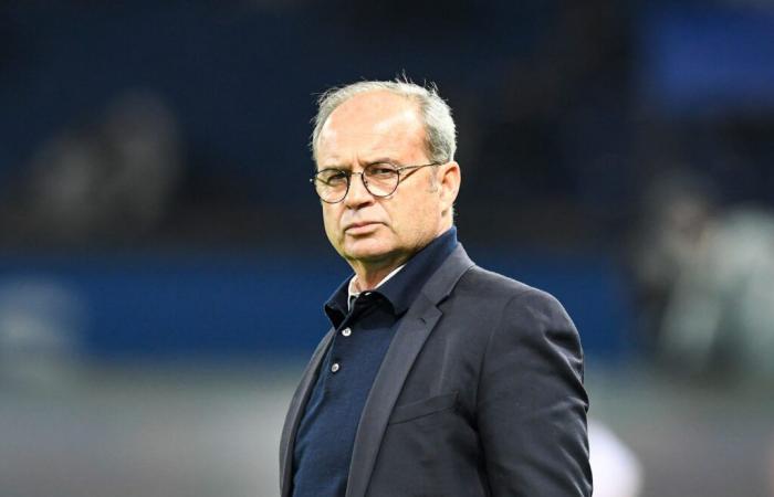 Mercato – PSG: Luis Campos le quiere, Qatar tendrá que renunciar a 25 millones de euros