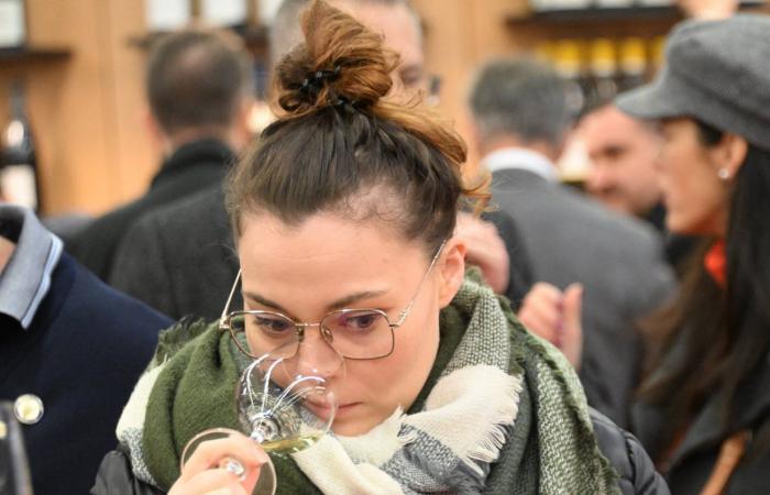 Vinos de Borgoña: Bienvenidos al reino de las degustaciones placenteras en Beaune