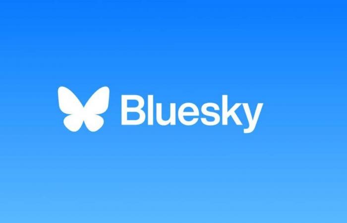 Bluesky, el rival de X, gana un millón de usuarios en 24 horas