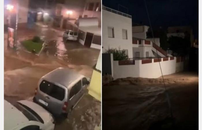 Los cítricos no sufren grandes daños tras las inundaciones en el sur de Tarragona