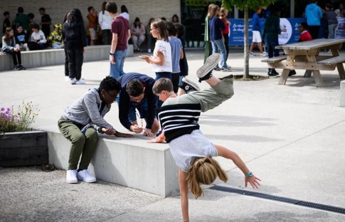 ¿Por qué los niños tenían que usar chalecos conectados en su jardín?