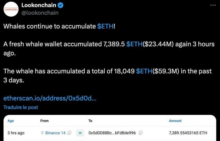 Explosión de criptomonedas: ETH coquetea con $3.400, una ballena lo compra por $58 millones