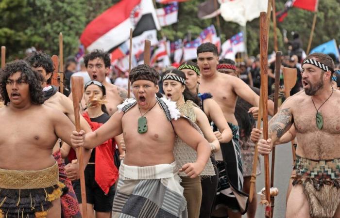 La protesta Haka en el Parlamento de Nueva Zelanda se vuelve viral