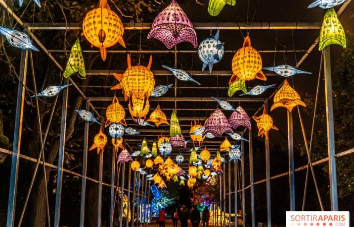 Jurásico en proceso de iluminación: el festival de luces 2024-2025 en el Jardin des Plantes – fotos