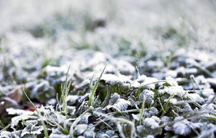 Ola de frío y “primeras sensaciones invernales”: ¿nevará en Bretaña la próxima semana?