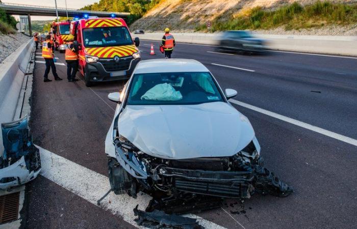 “Un shock extremadamente violento”: una madre y sus dos hijos de 8 y 10 años mueren en un accidente en la autopista