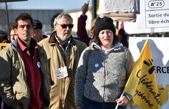 Ira de los agricultores: “El tratado UE-Mercosur pondrá fin a la ganadería francesa”, para la Confederación Campesina de Lot y Garona