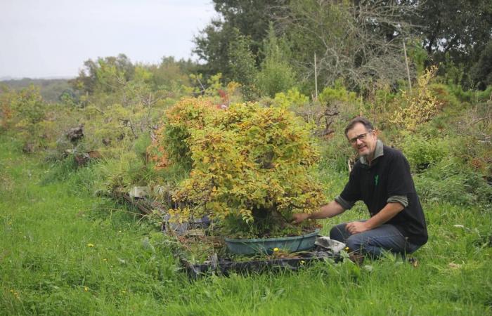 este agricultor de Dordoña es una estrella en el mundo del bonsái