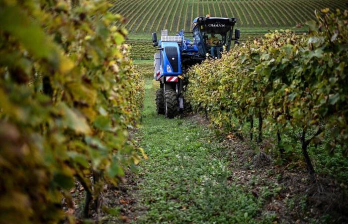 “Es imperativo que las ayudas se destinen a prácticas agrícolas que respeten el medio ambiente y la salud humana”