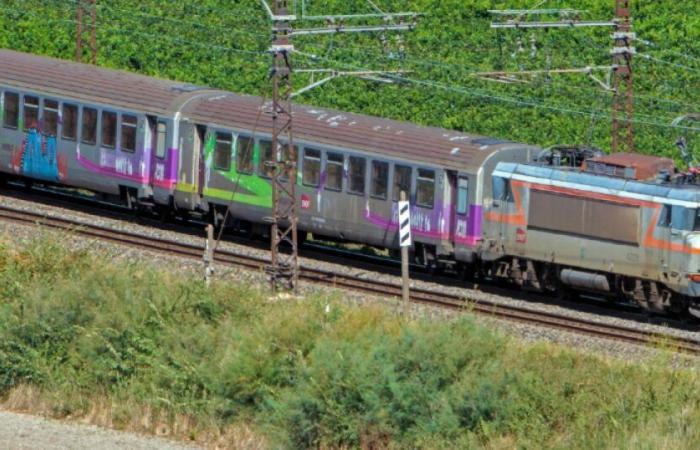 Amianto en los trenes en Francia: por qué podría ser un problema: Noticias