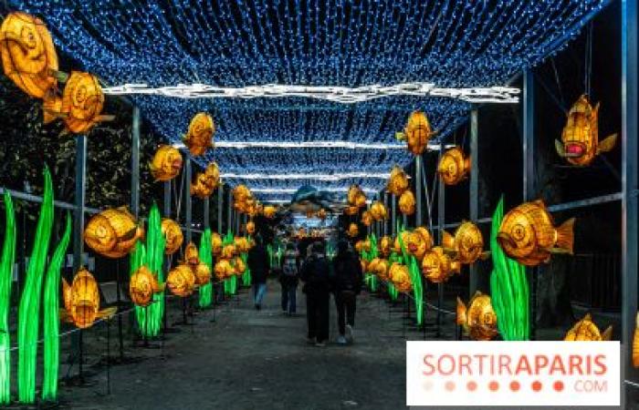 Jurásico en proceso de iluminación: el festival de luces 2024-2025 en el Jardin des Plantes – fotos