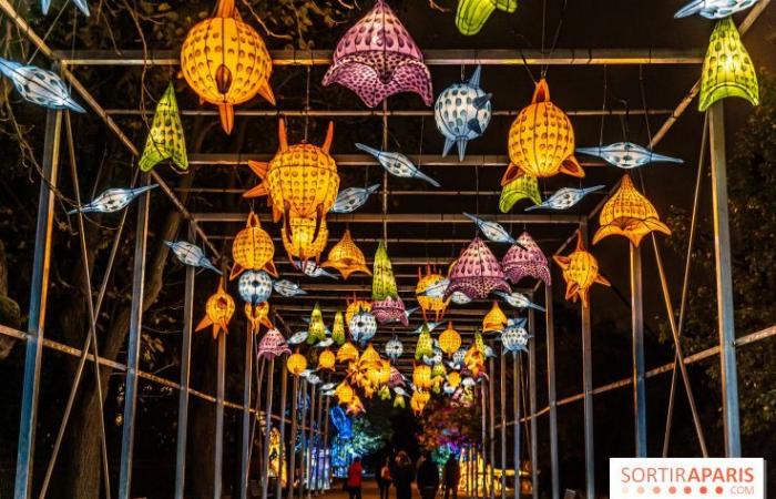 Jurásico en proceso de iluminación: el festival de luces 2024-2025 en el Jardin des Plantes – fotos