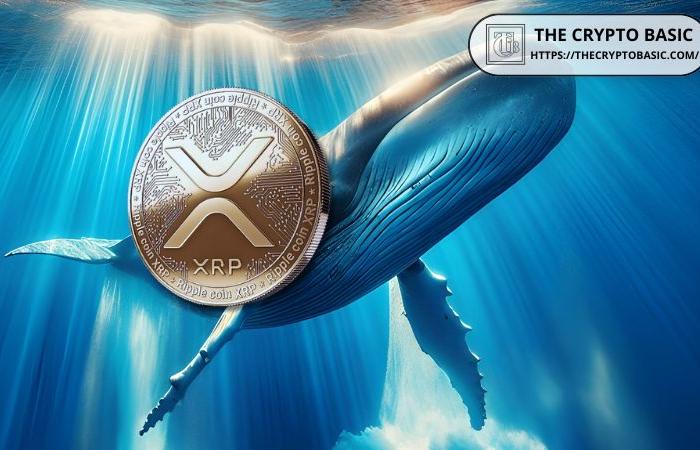 Las ballenas XRP acumulan 320 millones de tokens en 72 horas mientras XRP se acerca a $ 1