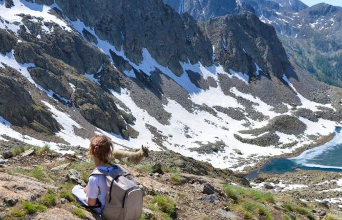 ‘Parecía una losa de cemento’: un excursionista hace un descubrimiento increíble en los Alpes italianos