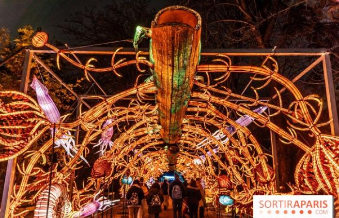 Jurásico en proceso de iluminación: el festival de luces 2024-2025 en el Jardin des Plantes – fotos