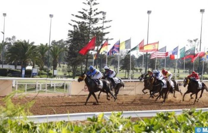 Encuentro internacional de Marruecos: el caballo “Al Othmane” gana el Gran Premio de SM el Rey Mohammed VI para los purasangres ingleses