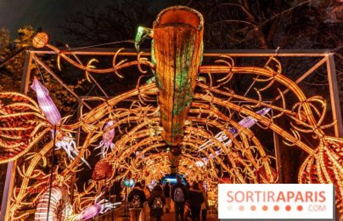 Jurásico en proceso de iluminación: el festival de luces 2024-2025 en el Jardin des Plantes – fotos