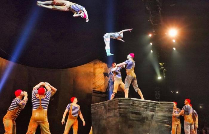 Un nuevo e importante proyecto para el Cirque du Soleil