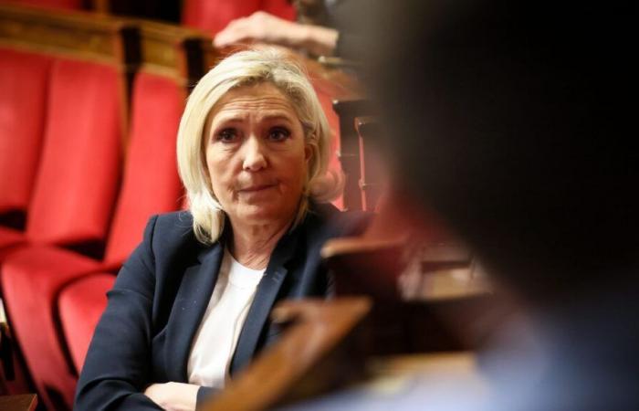 Juicio a los asistentes parlamentarios del FN: ¿qué consecuencias para Marine Le Pen?