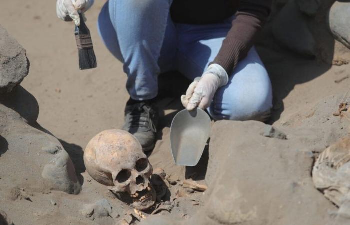 Decenas de cuerpos de niños encontrados en un cementerio preinca, fueron sacrificados por terribles razones