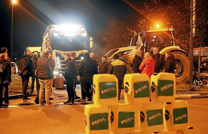 “No hay necesidad de bloquear las carreteras y molestar a la gente”: Bretaña retrasa las manifestaciones agrícolas