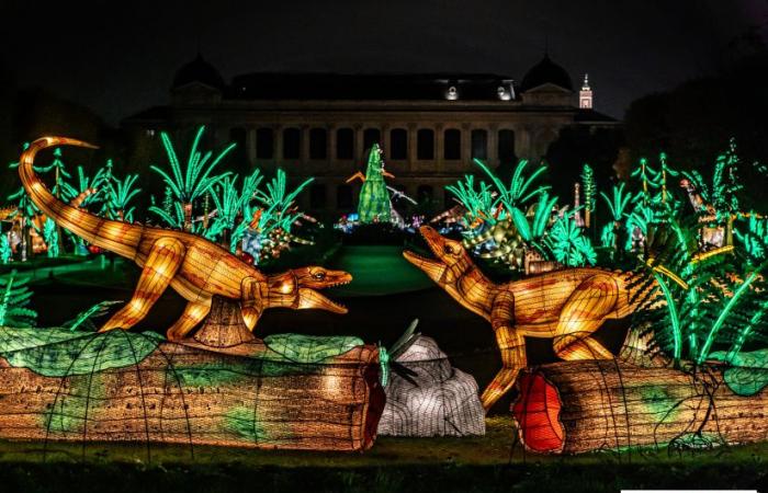 Jurásico en proceso de iluminación: el festival de luces 2024-2025 en el Jardin des Plantes – fotos