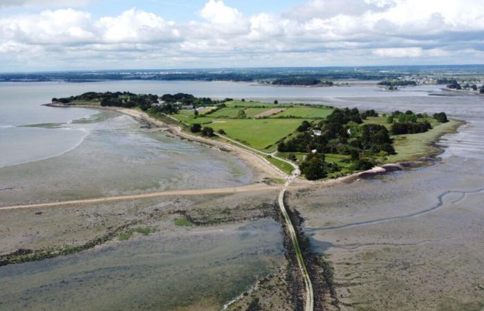 Cerca de Vannes, este pequeño rincón del paraíso sólo es accesible durante la marea baja.