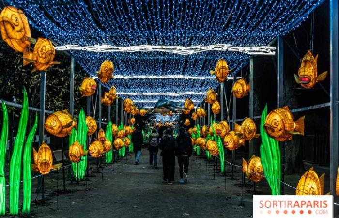 Jurásico en proceso de iluminación: el festival de luces 2024-2025 en el Jardin des Plantes – fotos