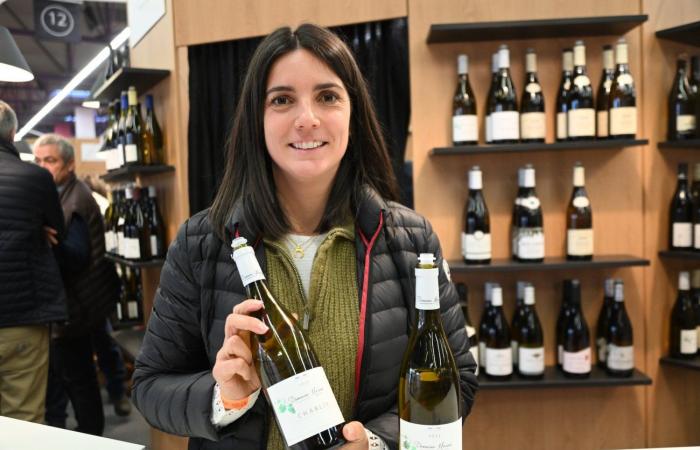 Borgoña: No hay que pagar mucho para tener buenos vinos