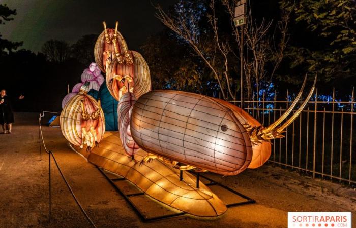 Jurásico en proceso de iluminación: el festival de luces 2024-2025 en el Jardin des Plantes – fotos