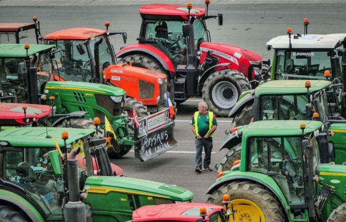 Apoyar la agricultura francesa, sí, pero ¿a qué precio?