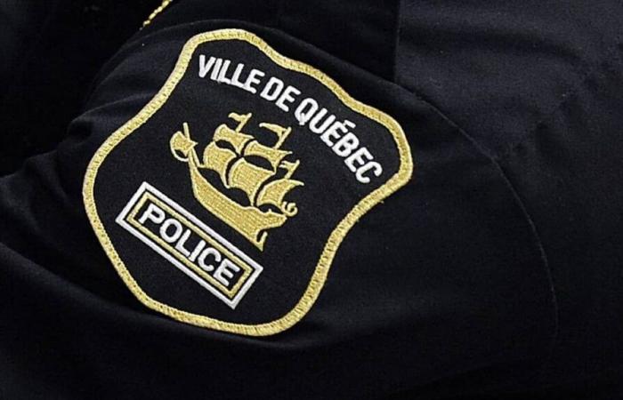 Un hombre armado con un cuchillo se abalanza sobre los agentes de policía en Quebec