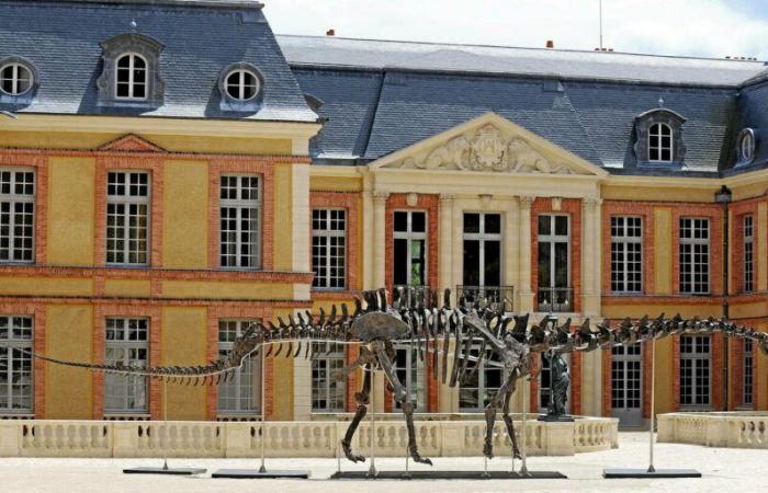 El esqueleto de dinosaurio más grande subastado en Francia se vendió por 6 millones de euros