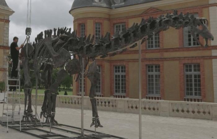 Un dinosaurio gigante a la venta en Yvelines.