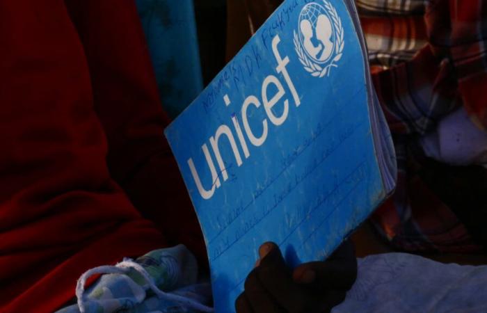 Enfermera de Unicef ​​se escapa tras seis años de cautiverio con yihadistas